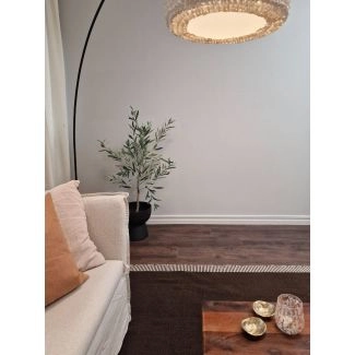 Ullmatta Rachel Brun