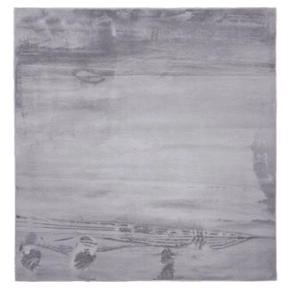 Kvadratisk Cat Sølv Vaskbart Pels-teppe