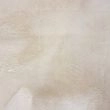 Denne produkten heter Cat, laget av Polyester materiale med en vakker Beige farge – SE Mattor