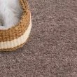 Denne produkten heter Lazy, laget av Polypropylen materiale med en vakker Greige farge – SE Mattor