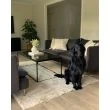 Denne produkten heter Rabbit Eco, laget av Polyester materiale med en vakker Lys Beige farge – SE Mattor