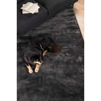 Brillo Grå Viskosmatta